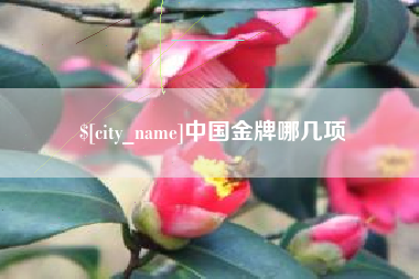 常宁中国金牌哪几项
