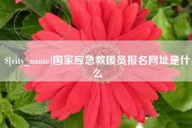 常宁国家应急救援员报名网址是什么