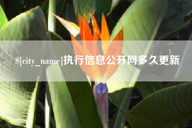 常宁执行信息公开网多久更新