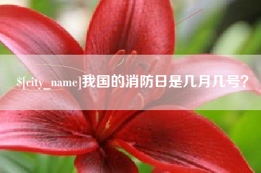 常宁我国的消防日是几月几号？