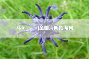 常宁全国消防招考网