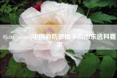 常宁中国消防救援学院山东选科要求