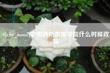 常宁中国消防救援学院什么时候政审