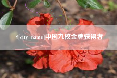 常宁中国九枚金牌获得者