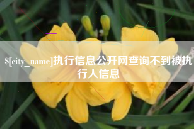 常宁执行信息公开网查询不到被执行人信息