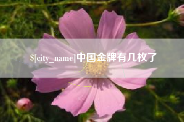 常宁中国金牌有几枚了
