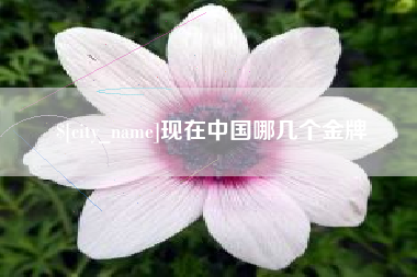 常宁现在中国哪几个金牌