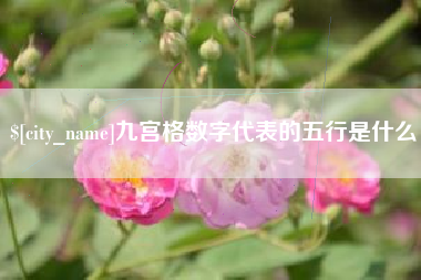 常宁九宫格数字代表的五行是什么