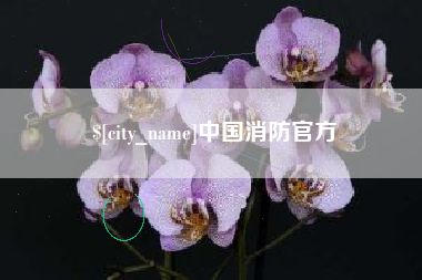 常宁中国消防官方