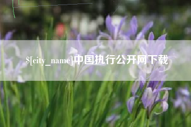 常宁中国执行公开网下载