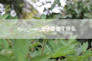 常宁王子豪是个什么