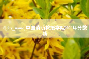 常宁中国消防救援学院2020年分数线