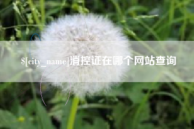 常宁消控证在哪个网站查询