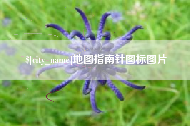 常宁地图指南针图标图片