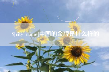 常宁中国的金牌是什么样的
