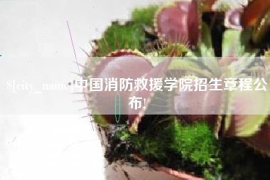 常宁中国消防救援学院招生章程公布!