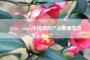常宁中国消防产品质量信息