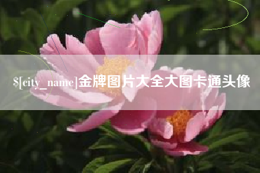 常宁金牌图片大全大图卡通头像