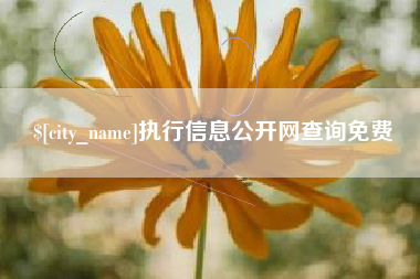 常宁执行信息公开网查询免费