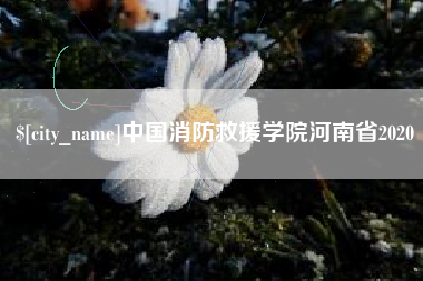 常宁中国消防救援学院河南省2020